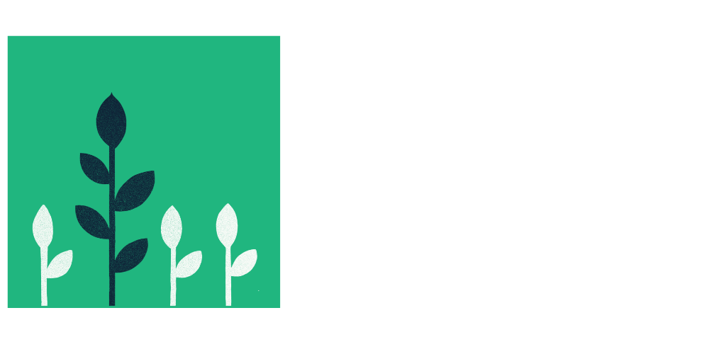 Desert Montessori School