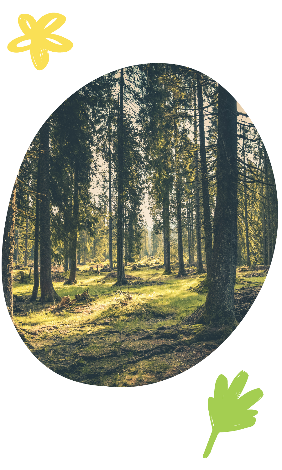 Stock Photos 3 (3 x 5 in)