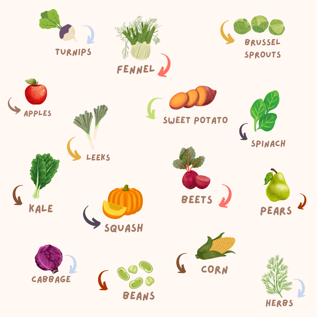 Colorful Seven Incredibly Health Healthy Food Illustration List - Instagram Post