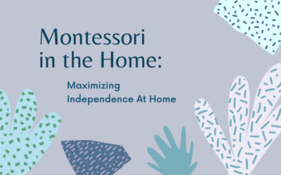 Maximizing Independence at Home
