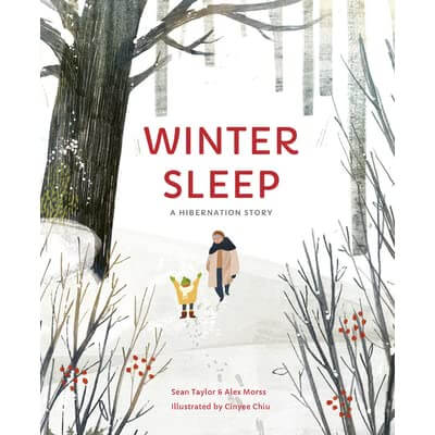 winter-themed-picture-books-for-kids