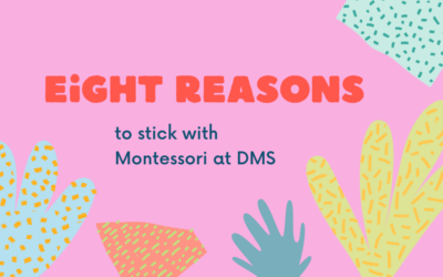 8 Reasons to Stick With Montessori at DMS