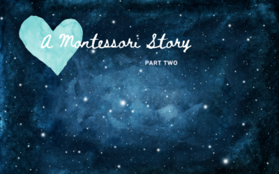 A Montessori Story, pt. 2